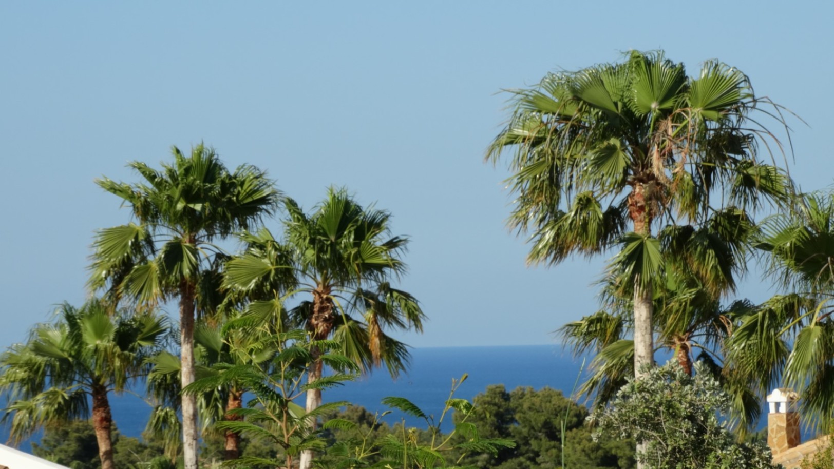 Exklusives Meerblick-Grundstück in bester spanischer Lage: Ihre Leinwand für das Leben an der Küste in Javea